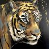 Tijger 120 x 140